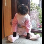 onesie-cats-06