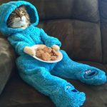 onesie-cats-09