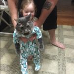 onesie-cats-11