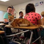 school-cats-08