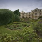 topiary-cats-05