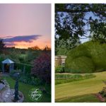 topiary-cats-feature