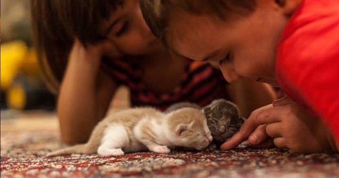 Featured-Followed-Us-Home-FB