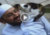Man Opens Mosque Doors for Stray Cats and Melts Hearts Everywhere