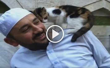 Man Opens Mosque Doors for Stray Cats and Melts Hearts Everywhere