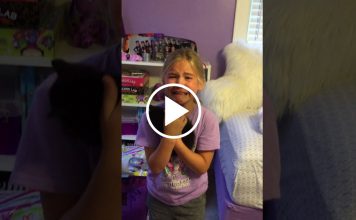 This Little Girl's Reaction To Her Kitten Surprise Will Give You All The Feels…