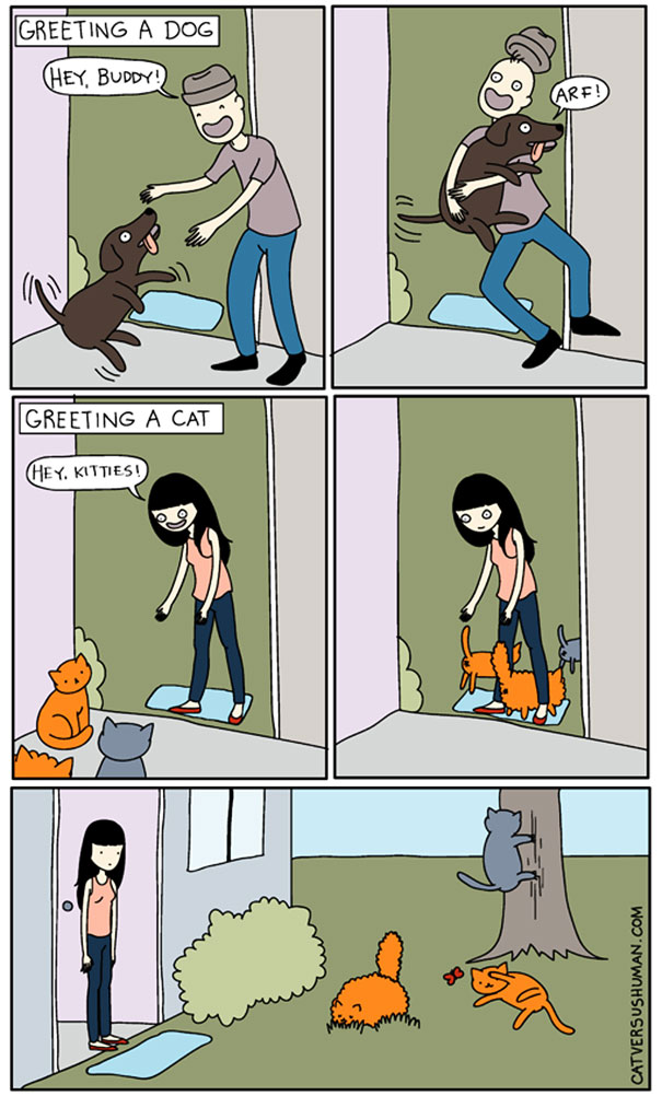 15 Hilarious Comics That Purrfectly Capture Life With Cats Catlov