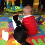 babysitting-cats-06