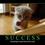 cat-motivational-posters-4