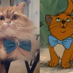 disney-cats-doppelganger-01