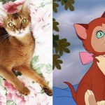 disney-cats-doppelganger-03