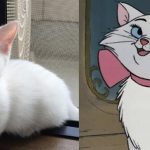 disney-cats-doppelganger-04