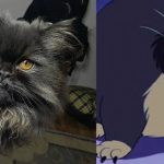 disney-cats-doppelganger-05