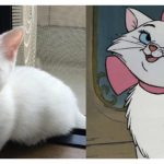 disney-cats-doppelganger-feature