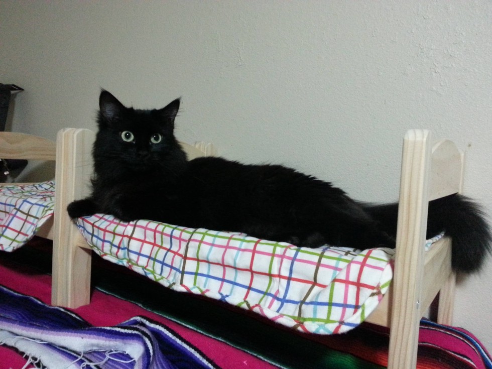 doll-bed-cat-09