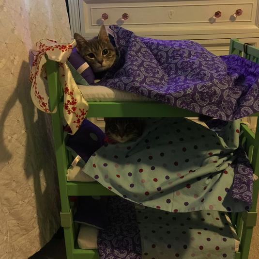 doll-bed-cat-12