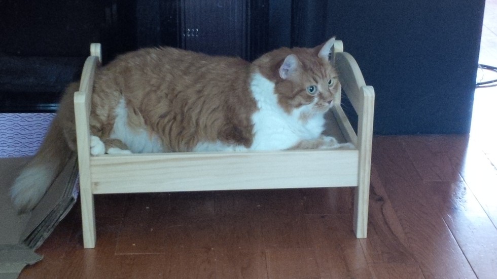 doll-bed-cat-13