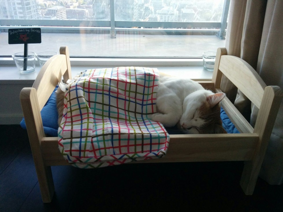 doll-bed-cat-15