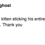 funny-cat-tweets-11B