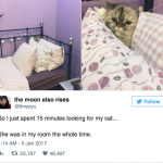 funny-cat-tweets-18