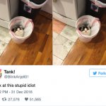 funny-cat-tweets-19