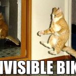 invisible-cats-02