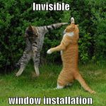 invisible-cats-03