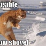 invisible-cats-05