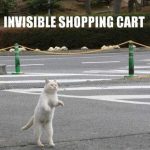 invisible-cats-06