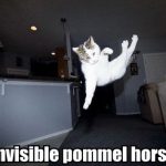 invisible-cats-13