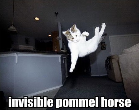 invisible-cats-13