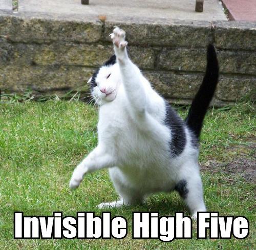 invisible-cats-15