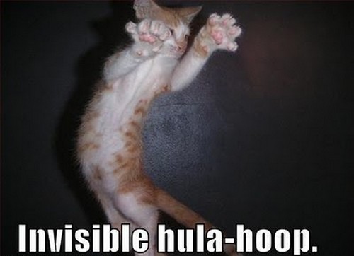 invisible-cats-16