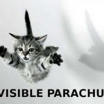 invisible-cats-18