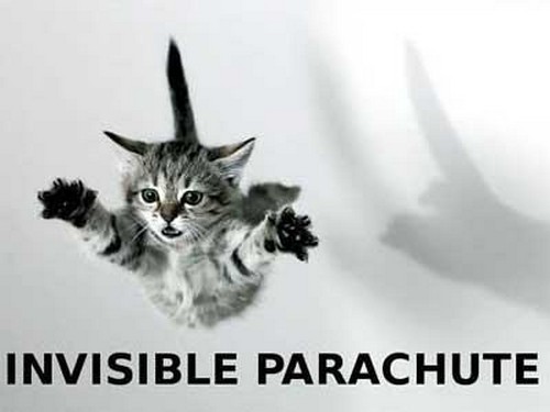 invisible-cats-18