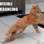 invisible-cats-20