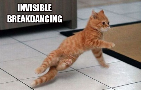invisible-cats-20
