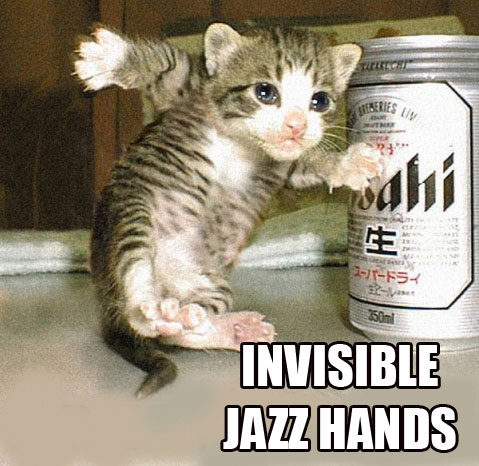 invisible-cats-25