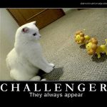 motivational-cat-posters-08