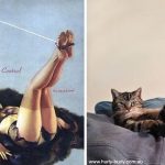 Cats-Posing-Pin-Up-Girls-1