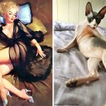 Cats-Posing-Pin-Up-Girls-10