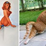 Cats-Posing-Pin-Up-Girls-17