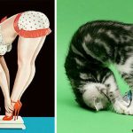 Cats-Posing-Pin-Up-Girls-19