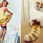 Cats-Posing-Pin-Up-Girls-2