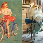 Cats-Posing-Pin-Up-Girls-23