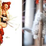 Cats-Posing-Pin-Up-Girls-24