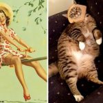 Cats-Posing-Pin-Up-Girls-27