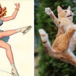 Cats-Posing-Pin-Up-Girls-28