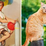 Cats-Posing-Pin-Up-Girls-5