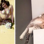 Featured-Cats-Posing-Pin-Up-Girls-FB